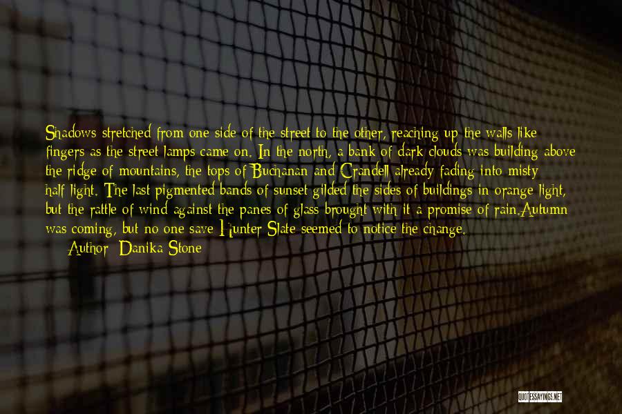 Danika Stone Quotes: Shadows Stretched From One Side Of The Street To The Other, Reaching Up The Walls Like Fingers As The Street