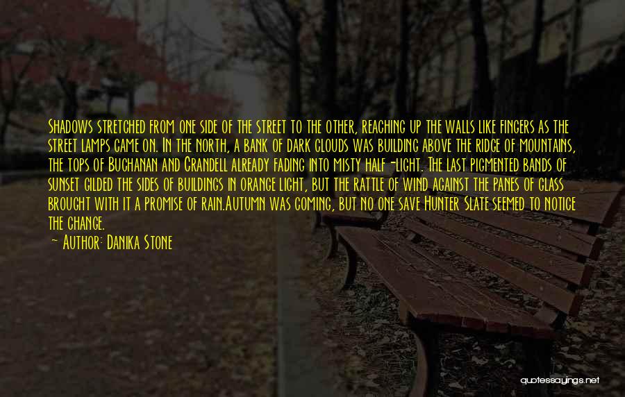 Danika Stone Quotes: Shadows Stretched From One Side Of The Street To The Other, Reaching Up The Walls Like Fingers As The Street