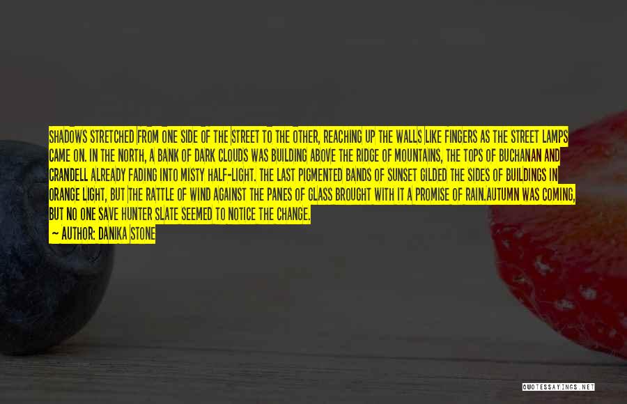 Danika Stone Quotes: Shadows Stretched From One Side Of The Street To The Other, Reaching Up The Walls Like Fingers As The Street