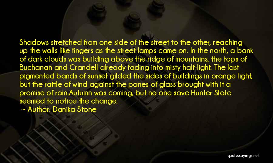 Danika Stone Quotes: Shadows Stretched From One Side Of The Street To The Other, Reaching Up The Walls Like Fingers As The Street