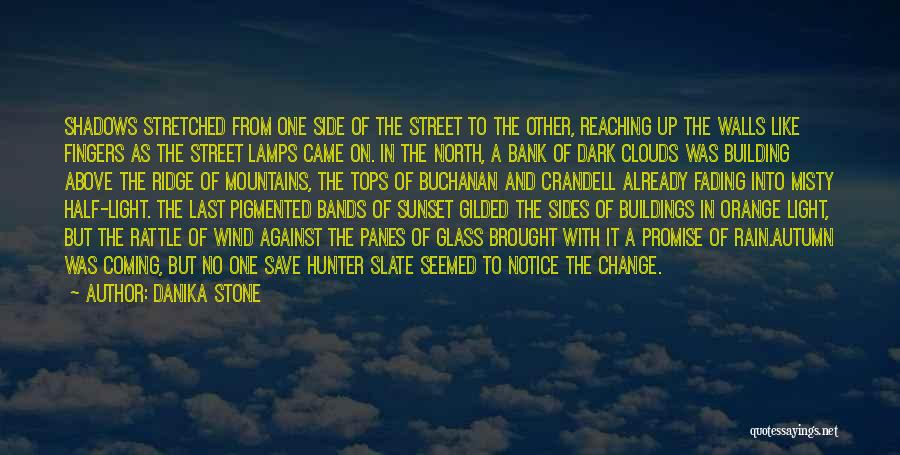 Danika Stone Quotes: Shadows Stretched From One Side Of The Street To The Other, Reaching Up The Walls Like Fingers As The Street