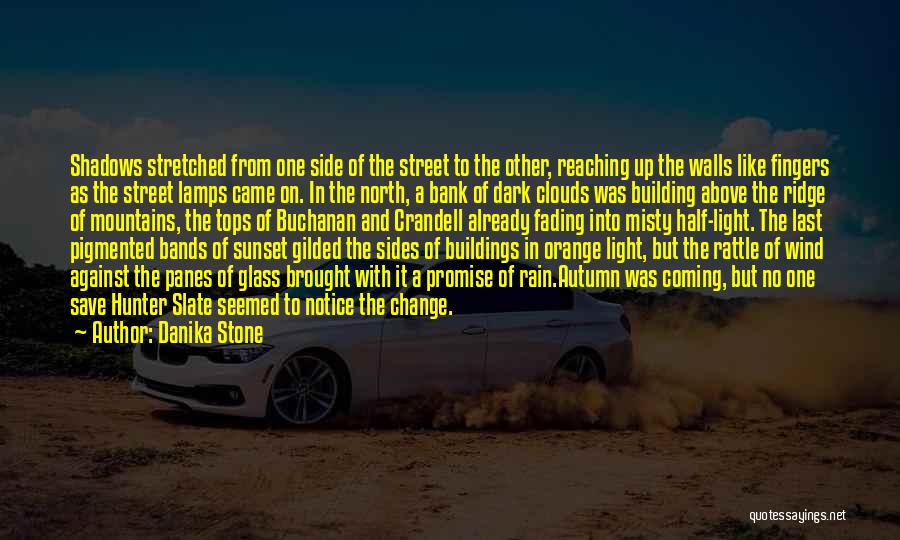 Danika Stone Quotes: Shadows Stretched From One Side Of The Street To The Other, Reaching Up The Walls Like Fingers As The Street