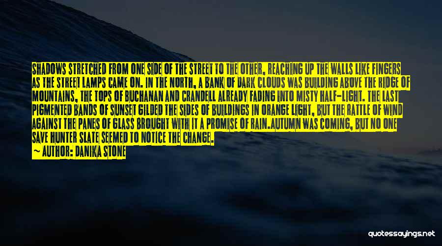 Danika Stone Quotes: Shadows Stretched From One Side Of The Street To The Other, Reaching Up The Walls Like Fingers As The Street