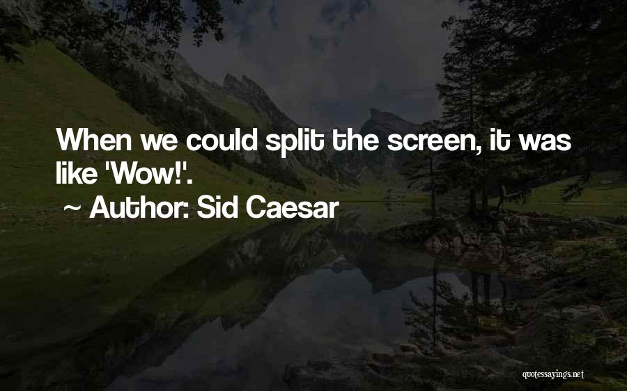 Sid Caesar Quotes: When We Could Split The Screen, It Was Like 'wow!'.