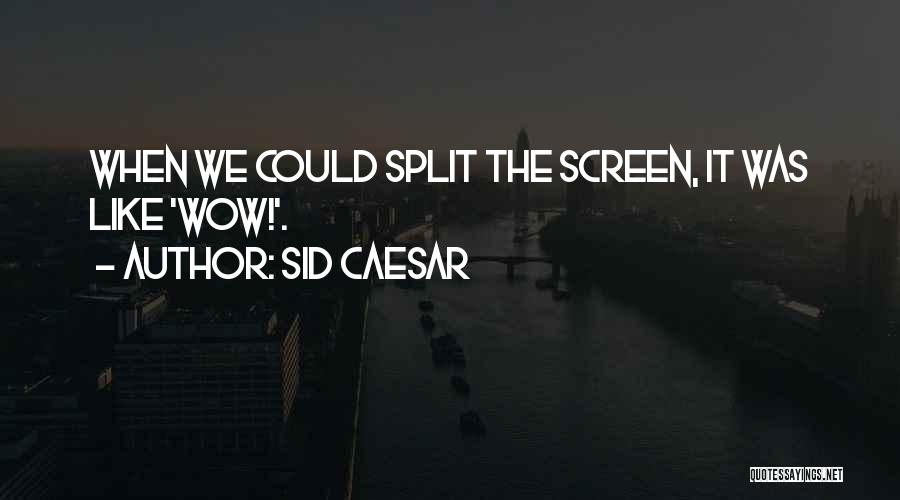 Sid Caesar Quotes: When We Could Split The Screen, It Was Like 'wow!'.