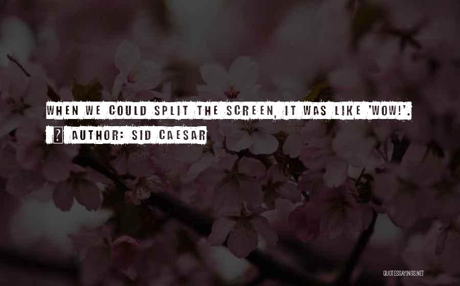 Sid Caesar Quotes: When We Could Split The Screen, It Was Like 'wow!'.