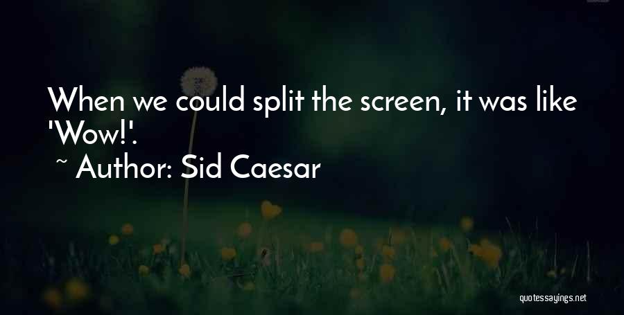Sid Caesar Quotes: When We Could Split The Screen, It Was Like 'wow!'.