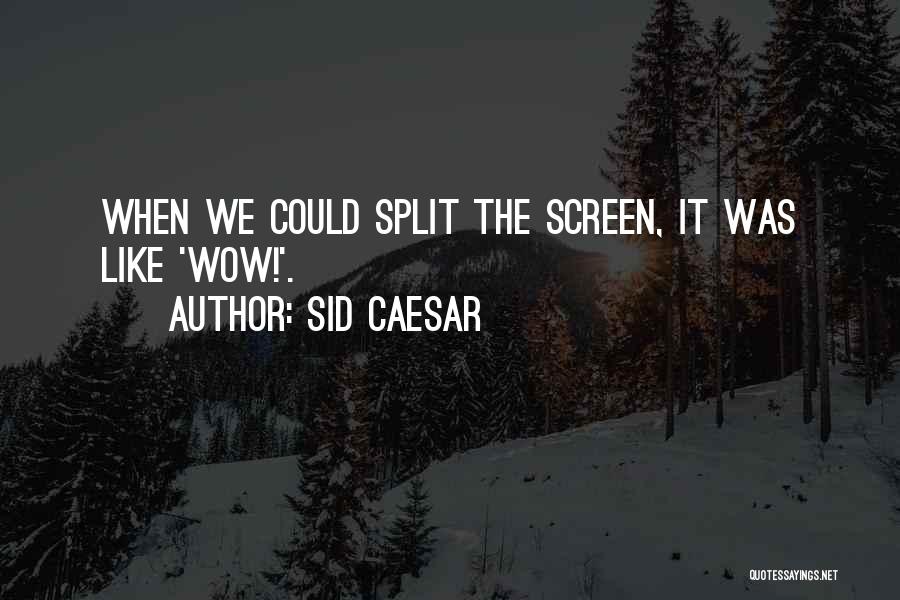Sid Caesar Quotes: When We Could Split The Screen, It Was Like 'wow!'.