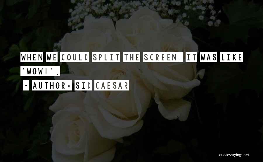 Sid Caesar Quotes: When We Could Split The Screen, It Was Like 'wow!'.
