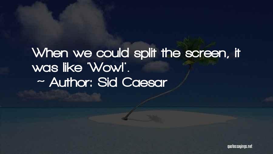 Sid Caesar Quotes: When We Could Split The Screen, It Was Like 'wow!'.
