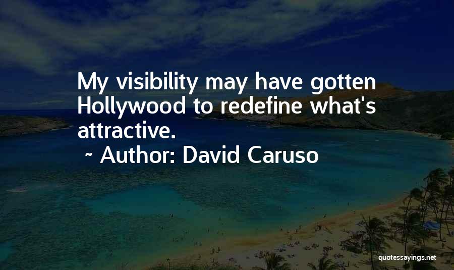 David Caruso Quotes: My Visibility May Have Gotten Hollywood To Redefine What's Attractive.