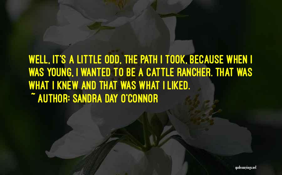 Sandra Day O'Connor Quotes: Well, It's A Little Odd, The Path I Took, Because When I Was Young, I Wanted To Be A Cattle