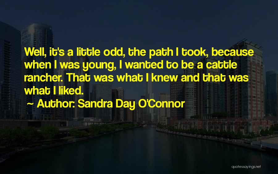 Sandra Day O'Connor Quotes: Well, It's A Little Odd, The Path I Took, Because When I Was Young, I Wanted To Be A Cattle