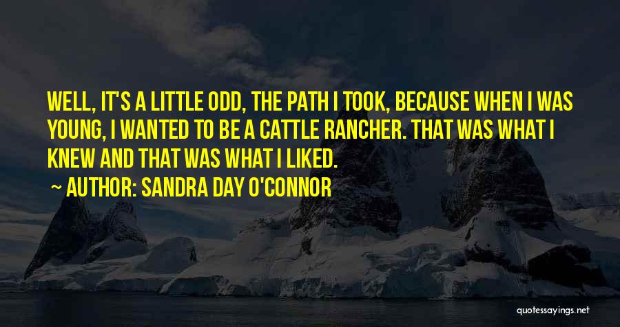 Sandra Day O'Connor Quotes: Well, It's A Little Odd, The Path I Took, Because When I Was Young, I Wanted To Be A Cattle