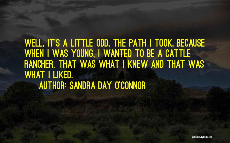 Sandra Day O'Connor Quotes: Well, It's A Little Odd, The Path I Took, Because When I Was Young, I Wanted To Be A Cattle