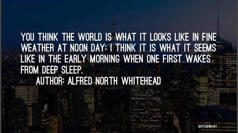 Alfred North Whitehead Quotes: You Think The World Is What It Looks Like In Fine Weather At Noon Day; I Think It Is What