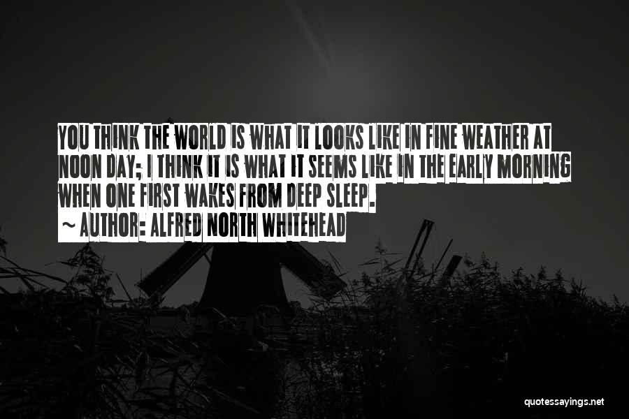 Alfred North Whitehead Quotes: You Think The World Is What It Looks Like In Fine Weather At Noon Day; I Think It Is What