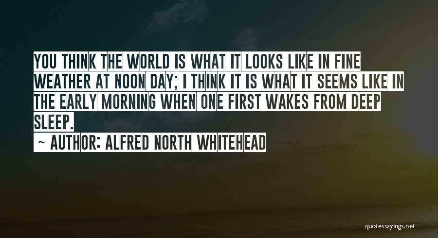 Alfred North Whitehead Quotes: You Think The World Is What It Looks Like In Fine Weather At Noon Day; I Think It Is What