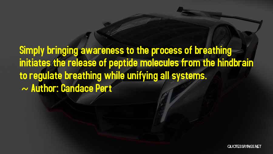 Candace Pert Quotes: Simply Bringing Awareness To The Process Of Breathing Initiates The Release Of Peptide Molecules From The Hindbrain To Regulate Breathing