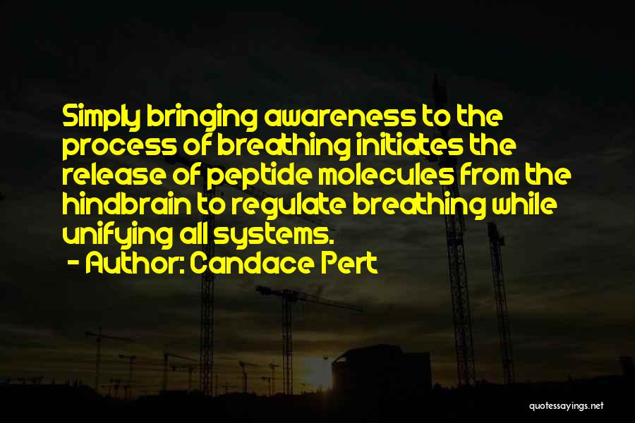 Candace Pert Quotes: Simply Bringing Awareness To The Process Of Breathing Initiates The Release Of Peptide Molecules From The Hindbrain To Regulate Breathing