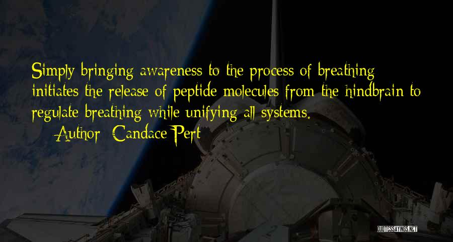 Candace Pert Quotes: Simply Bringing Awareness To The Process Of Breathing Initiates The Release Of Peptide Molecules From The Hindbrain To Regulate Breathing