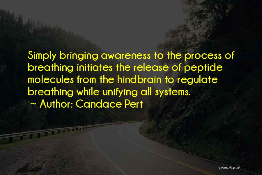 Candace Pert Quotes: Simply Bringing Awareness To The Process Of Breathing Initiates The Release Of Peptide Molecules From The Hindbrain To Regulate Breathing