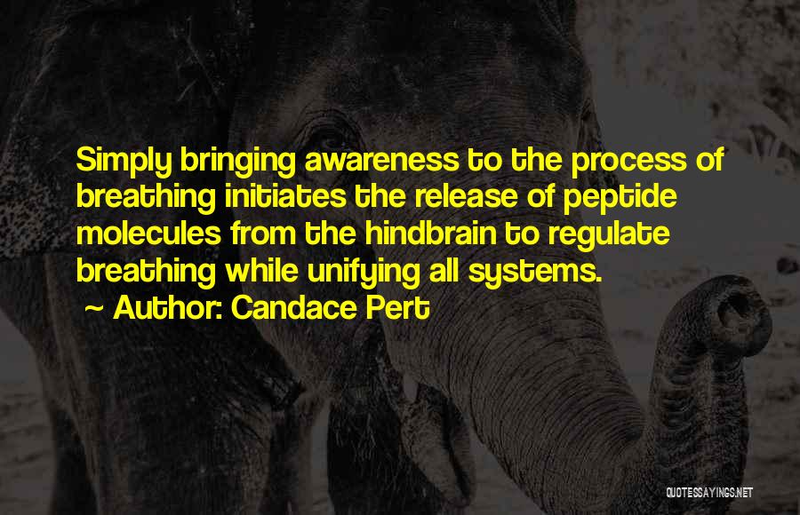 Candace Pert Quotes: Simply Bringing Awareness To The Process Of Breathing Initiates The Release Of Peptide Molecules From The Hindbrain To Regulate Breathing