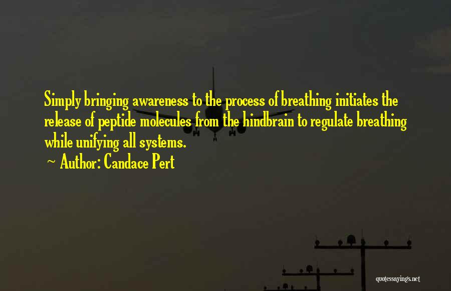 Candace Pert Quotes: Simply Bringing Awareness To The Process Of Breathing Initiates The Release Of Peptide Molecules From The Hindbrain To Regulate Breathing