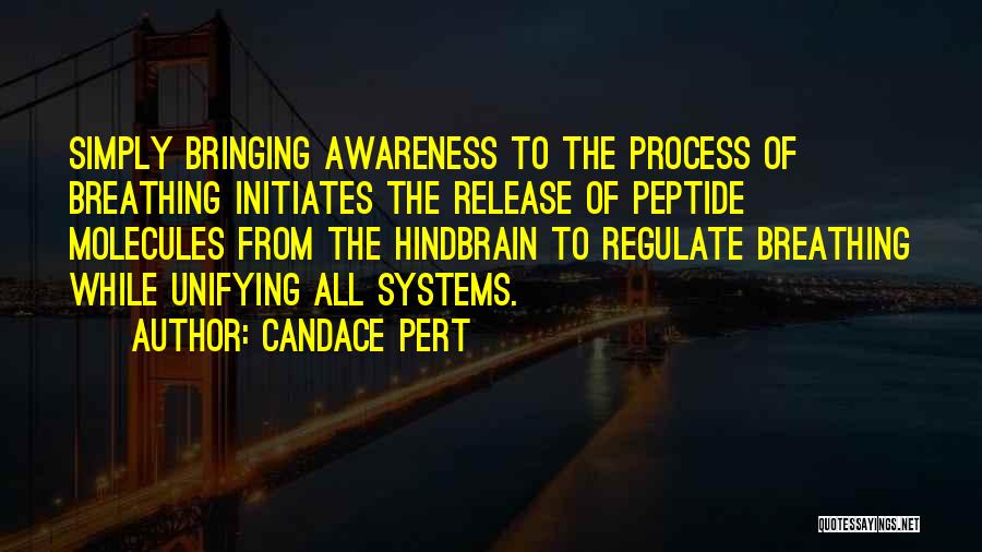 Candace Pert Quotes: Simply Bringing Awareness To The Process Of Breathing Initiates The Release Of Peptide Molecules From The Hindbrain To Regulate Breathing