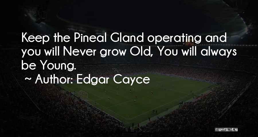 Edgar Cayce Quotes: Keep The Pineal Gland Operating And You Will Never Grow Old, You Will Always Be Young.