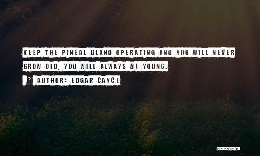 Edgar Cayce Quotes: Keep The Pineal Gland Operating And You Will Never Grow Old, You Will Always Be Young.