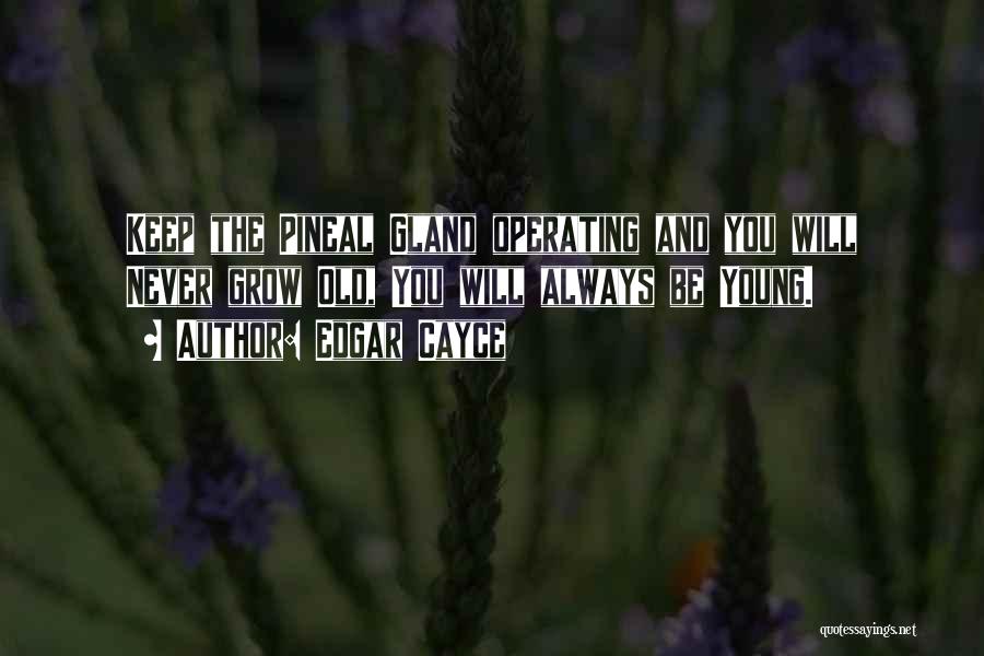 Edgar Cayce Quotes: Keep The Pineal Gland Operating And You Will Never Grow Old, You Will Always Be Young.