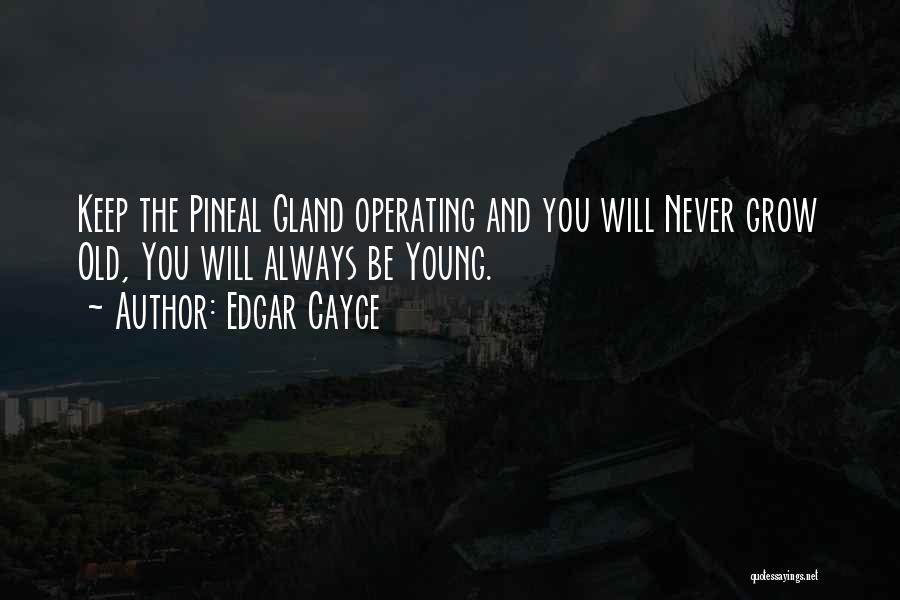 Edgar Cayce Quotes: Keep The Pineal Gland Operating And You Will Never Grow Old, You Will Always Be Young.