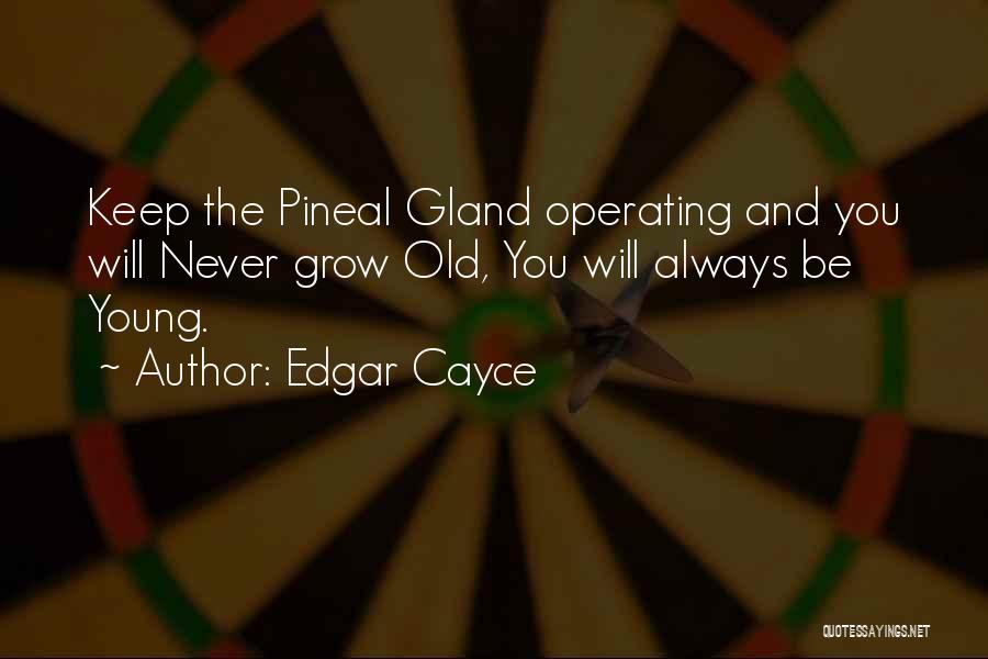 Edgar Cayce Quotes: Keep The Pineal Gland Operating And You Will Never Grow Old, You Will Always Be Young.