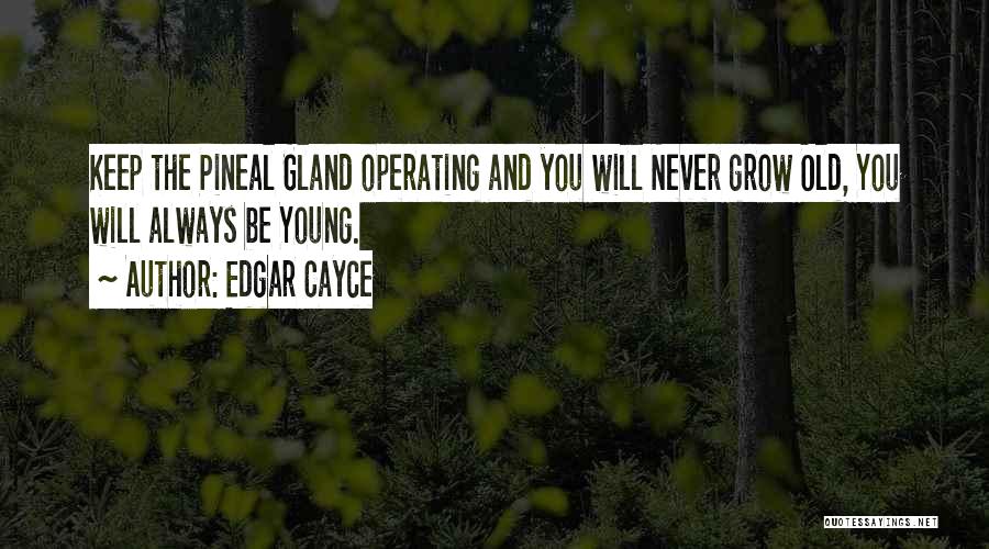 Edgar Cayce Quotes: Keep The Pineal Gland Operating And You Will Never Grow Old, You Will Always Be Young.