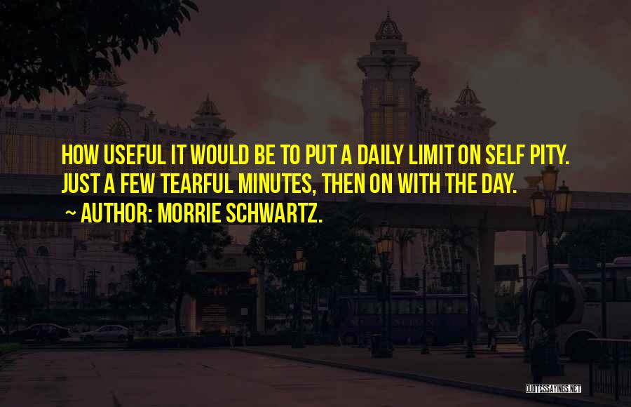 Morrie Schwartz. Quotes: How Useful It Would Be To Put A Daily Limit On Self Pity. Just A Few Tearful Minutes, Then On