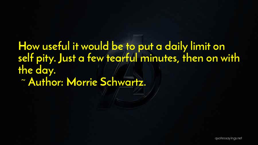 Morrie Schwartz. Quotes: How Useful It Would Be To Put A Daily Limit On Self Pity. Just A Few Tearful Minutes, Then On