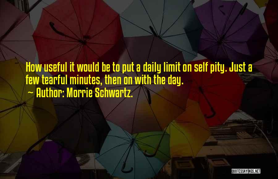 Morrie Schwartz. Quotes: How Useful It Would Be To Put A Daily Limit On Self Pity. Just A Few Tearful Minutes, Then On