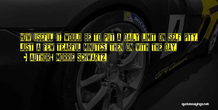 Morrie Schwartz. Quotes: How Useful It Would Be To Put A Daily Limit On Self Pity. Just A Few Tearful Minutes, Then On