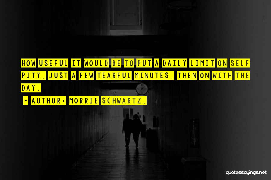 Morrie Schwartz. Quotes: How Useful It Would Be To Put A Daily Limit On Self Pity. Just A Few Tearful Minutes, Then On