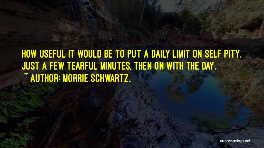 Morrie Schwartz. Quotes: How Useful It Would Be To Put A Daily Limit On Self Pity. Just A Few Tearful Minutes, Then On