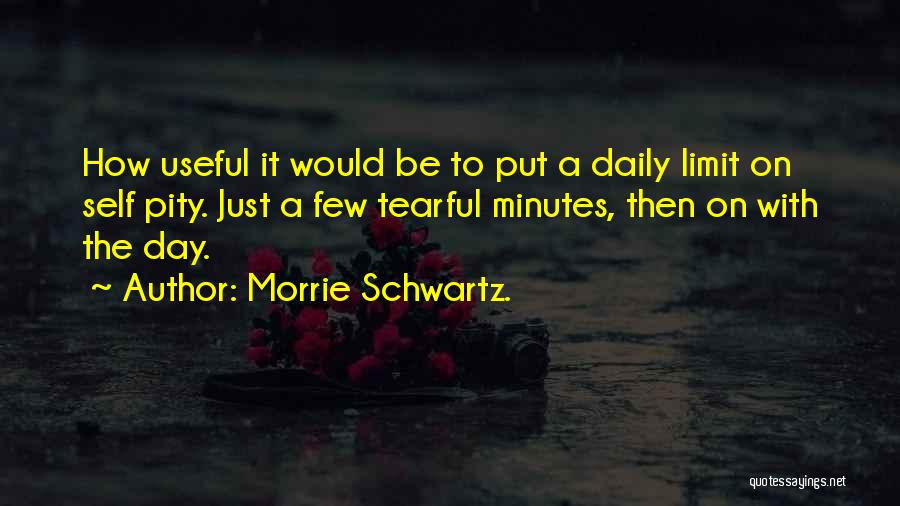Morrie Schwartz. Quotes: How Useful It Would Be To Put A Daily Limit On Self Pity. Just A Few Tearful Minutes, Then On