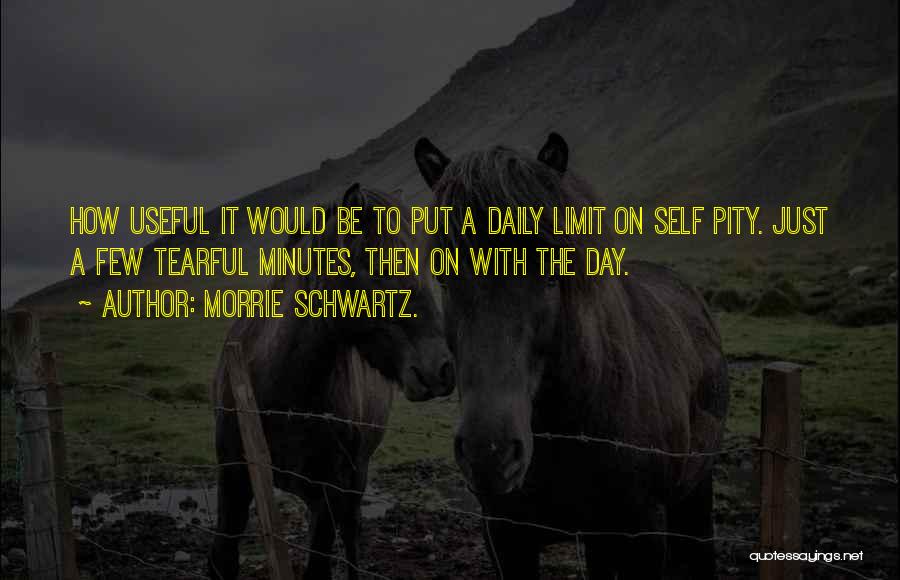 Morrie Schwartz. Quotes: How Useful It Would Be To Put A Daily Limit On Self Pity. Just A Few Tearful Minutes, Then On