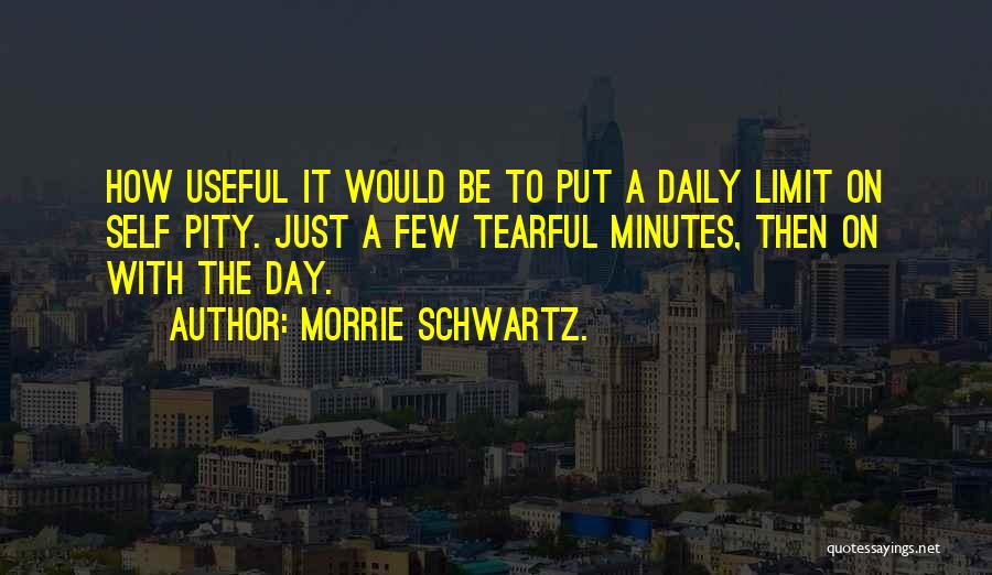 Morrie Schwartz. Quotes: How Useful It Would Be To Put A Daily Limit On Self Pity. Just A Few Tearful Minutes, Then On