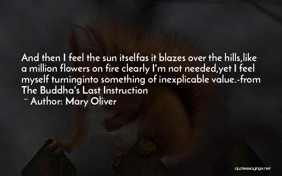 Mary Oliver Quotes: And Then I Feel The Sun Itselfas It Blazes Over The Hills,like A Million Flowers On Fire Clearly I'm Not