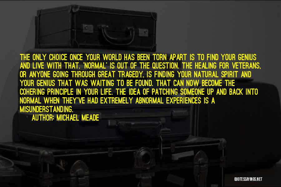 Michael Meade Quotes: The Only Choice Once Your World Has Been Torn Apart Is To Find Your Genius And Live With That. 'normal'