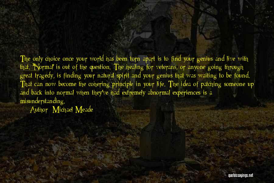 Michael Meade Quotes: The Only Choice Once Your World Has Been Torn Apart Is To Find Your Genius And Live With That. 'normal'