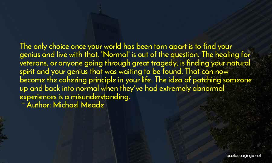 Michael Meade Quotes: The Only Choice Once Your World Has Been Torn Apart Is To Find Your Genius And Live With That. 'normal'