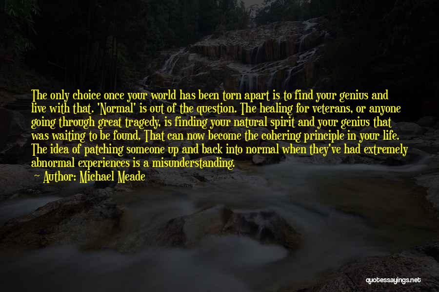 Michael Meade Quotes: The Only Choice Once Your World Has Been Torn Apart Is To Find Your Genius And Live With That. 'normal'