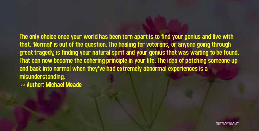 Michael Meade Quotes: The Only Choice Once Your World Has Been Torn Apart Is To Find Your Genius And Live With That. 'normal'